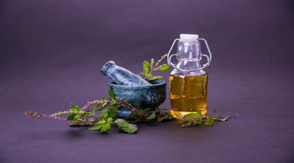 diabetes,blood sugar, diabetes control tips,tulsi seed, health benefits of tulsi seed, tulsi seed for diabetes control