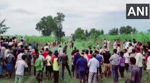 Bihar tiger killed