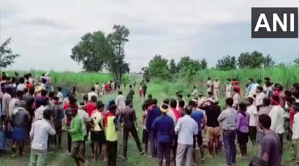 Bihar tiger killed