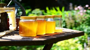 honey as a fat burner, how to use honey, right way to use honey, benefits of honey,