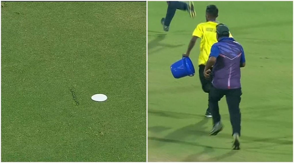 IND vs SA | Snake | Floodlights