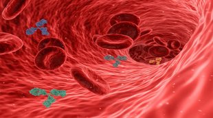 weak Immune, Weak Immune system, Immune System