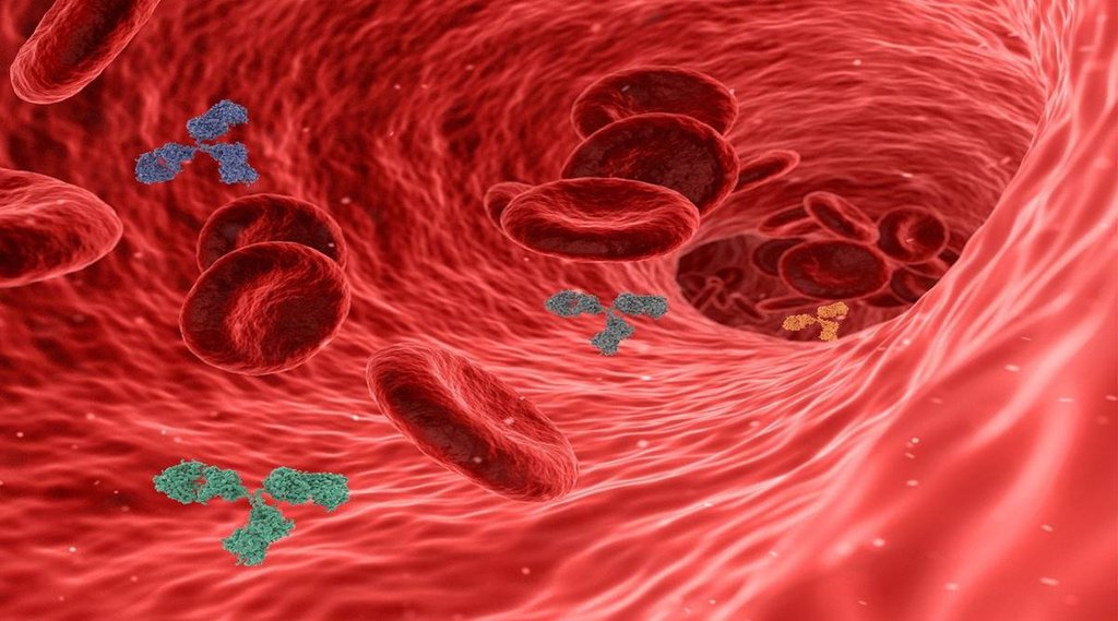 weak Immune, Weak Immune system, Immune System