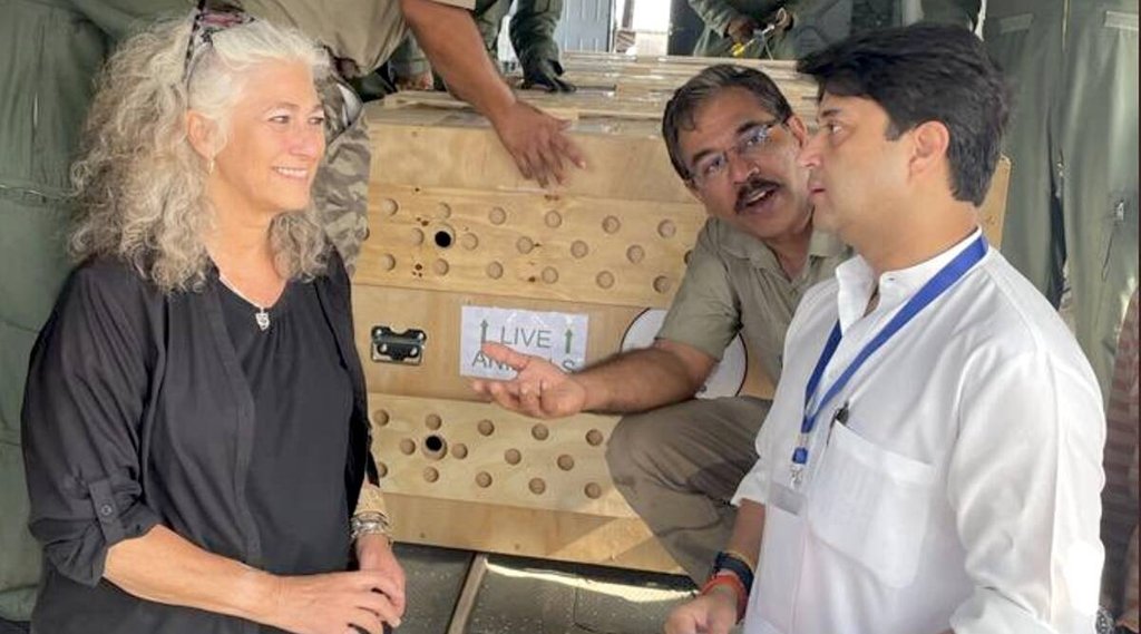 Cheetah Project| Center| Yadavendradev Vikramsinh Jhala
