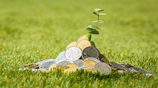 Money Plant, Money Upay, Vastu shastra