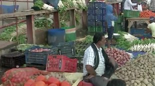 Onion Price | Retail Price | Milk Price