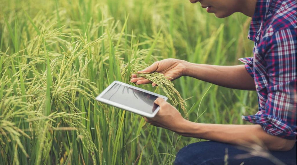 PM kisan Scheme | ekyc under PM kisan Scheme | PM Kisan Yojana News