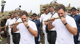 Rahul Ganna Photo| Rahul Gandhi Viral Photo| Rahul Gandhi Social Media|