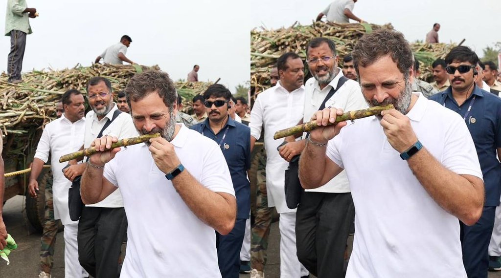 Rahul Ganna Photo| Rahul Gandhi Viral Photo| Rahul Gandhi Social Media|