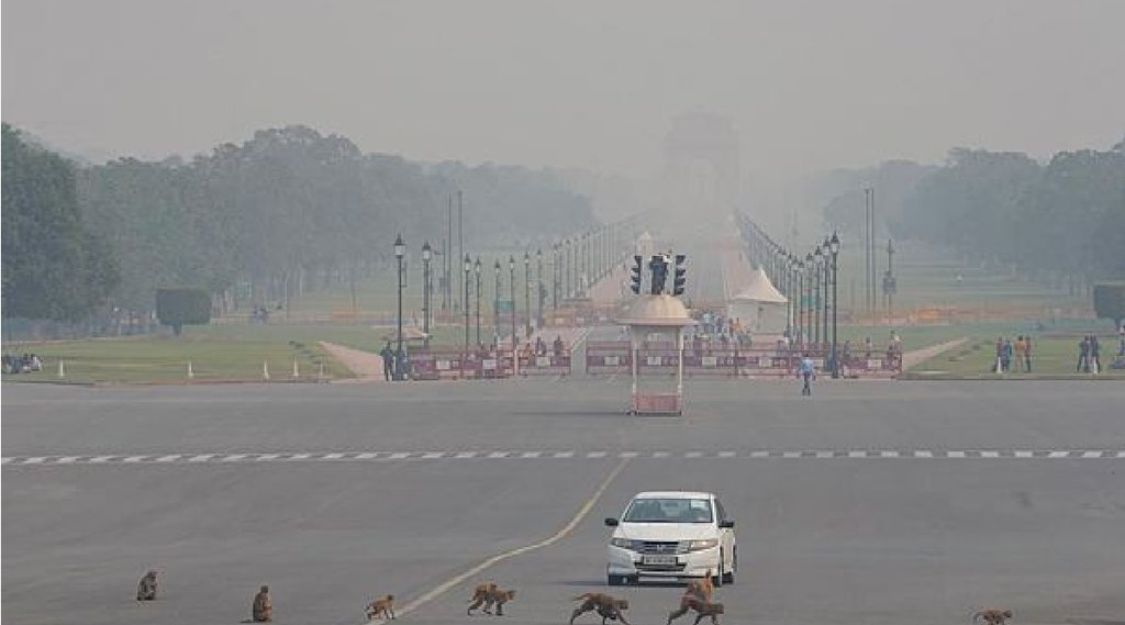 Smog in Delhi