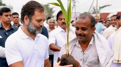 राहुल का मतलब भारत और भारत का मतलब राहुल- यूपी के नए कांग्रेस प्रमुख का बयान