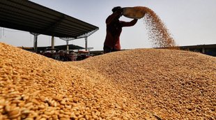 rice and wheat stock| inflation|