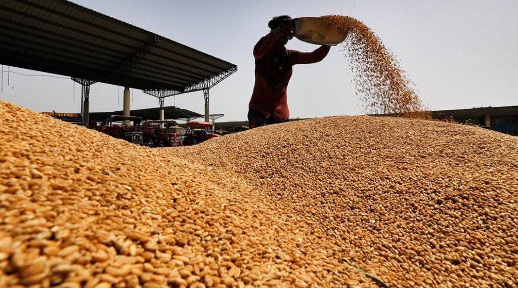 rice and wheat stock| inflation|