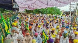kisaan protest| punjab| sangrur|