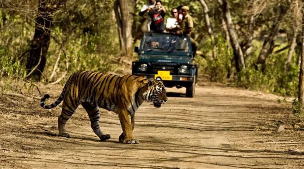 up tiger reserve| bhupendra yadav|