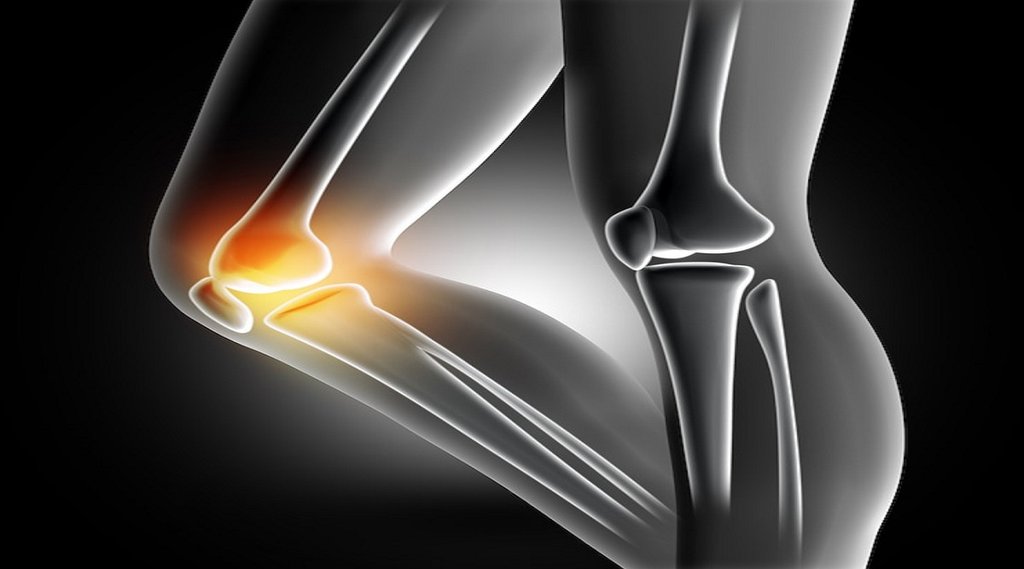 Bones,Food,Health,Lifestyle, which foods increase bone density, how to increase bone strength naturally, vegetarian food for strong bones and muscles