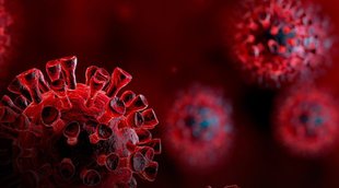 Corona Virus| US Senate Claim| Wuhan Lab