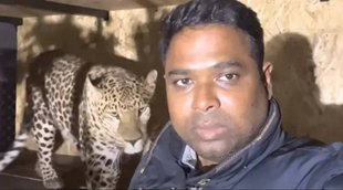 jaguar kumar | Ukraine | Panther