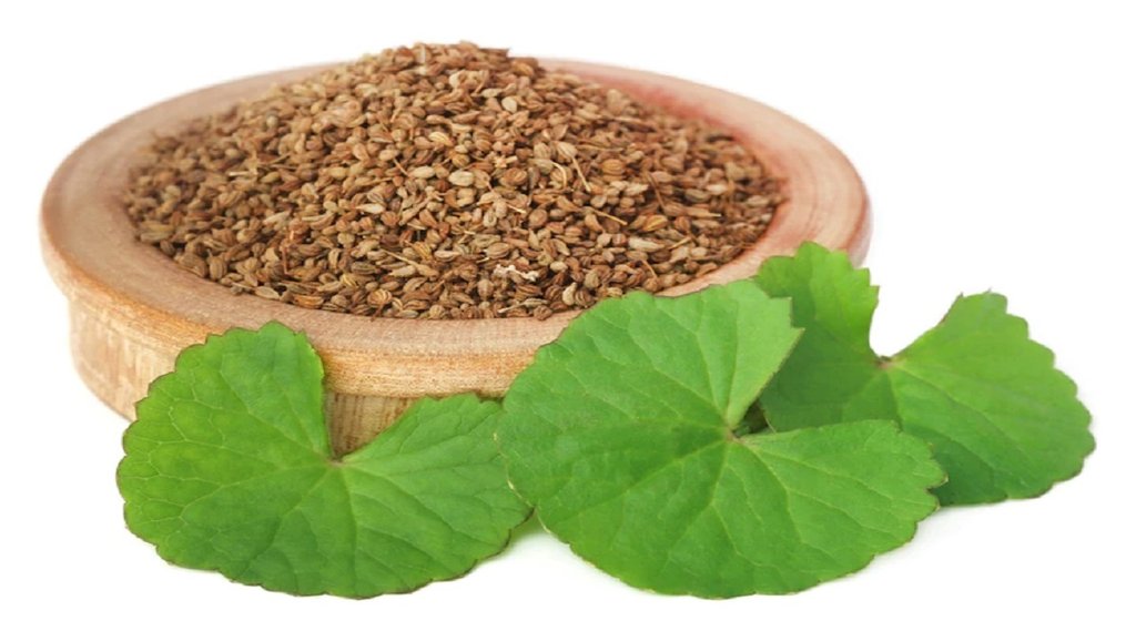 Centella Asiatica,Centella Asiatica Benefits,centella asiatica extract,herbs,centella asiatica uses,centella asiatica side effects,