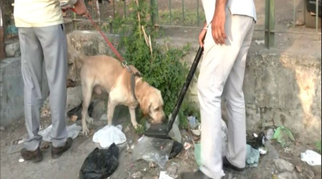 Low intensity blast Bandipor, one terrorist killed in Kulgam district, Kulgam district Low intensity blast Bandipor, one terrorist killed in Kulgam district, Kulgam district