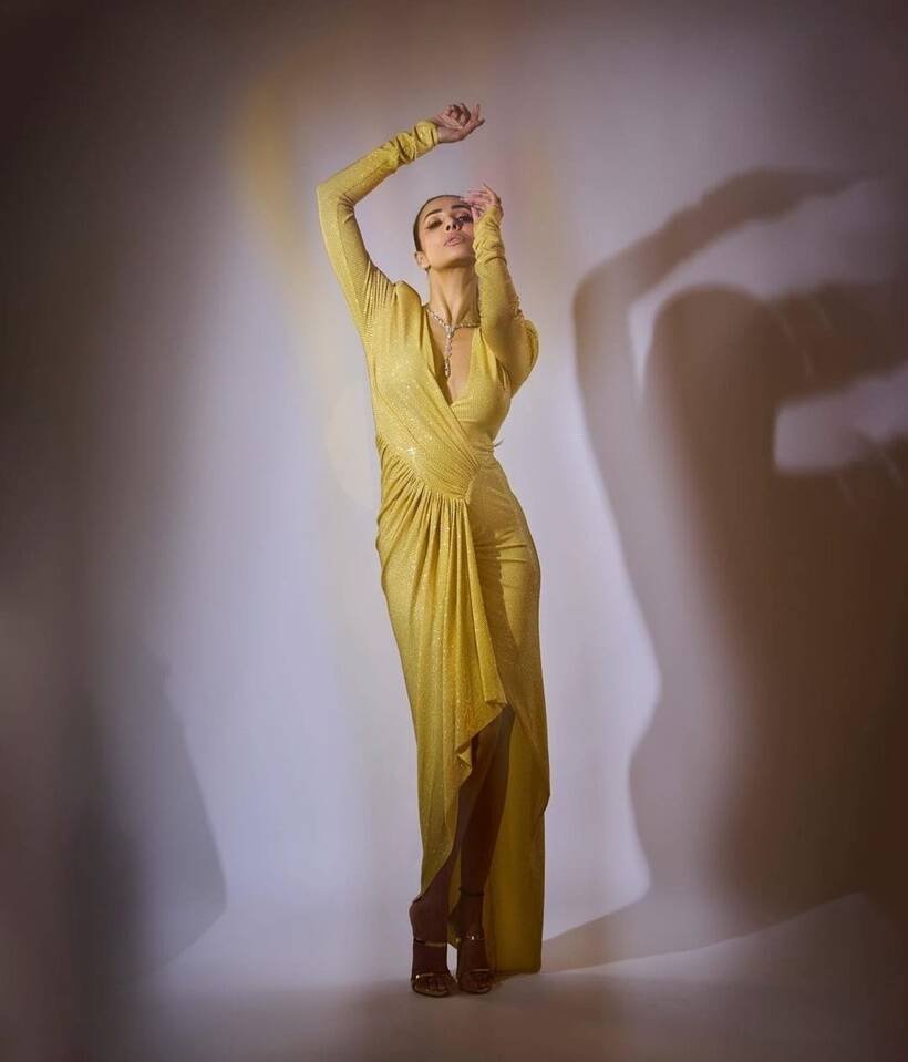 Malaika Arora, Malaika Arora birthday, Malaika Arora picture gallery, Malaika Arora fashion, Indian Express gallery