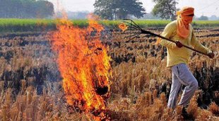 Parali Burning| Punjab Speaker| Punjab News