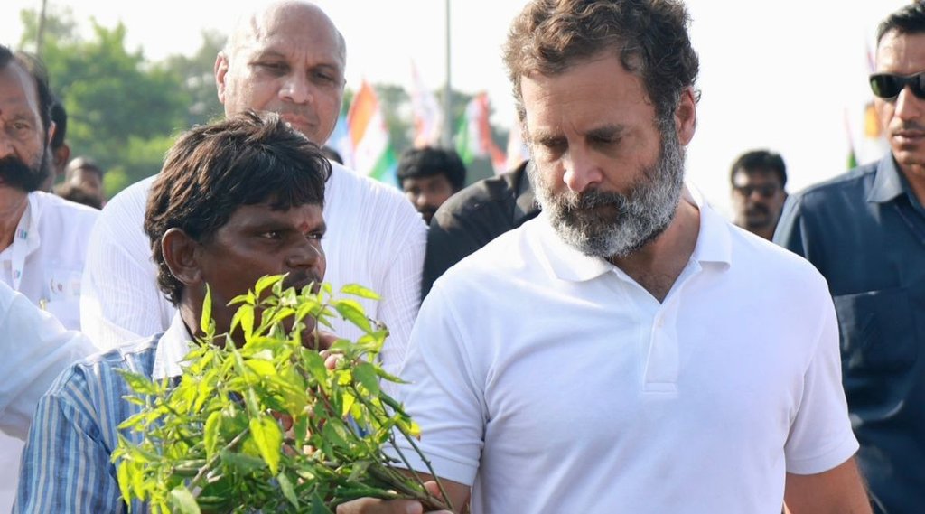 rahul gandhi, Bharat Jodo Yatra