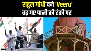 congress, bharat joda yatra