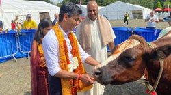 गाय की पूजा करने वाले ऋषि सुनक ब्रिटेन में बीफ इंडस्ट्री को करेंगे प्रमोट, जानिए वजह