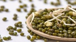 क्या स्प्राउट्स एक सुपरफूड है? जानिए एक्सपर्ट से कब और कितना सेवन है फायदेमंद