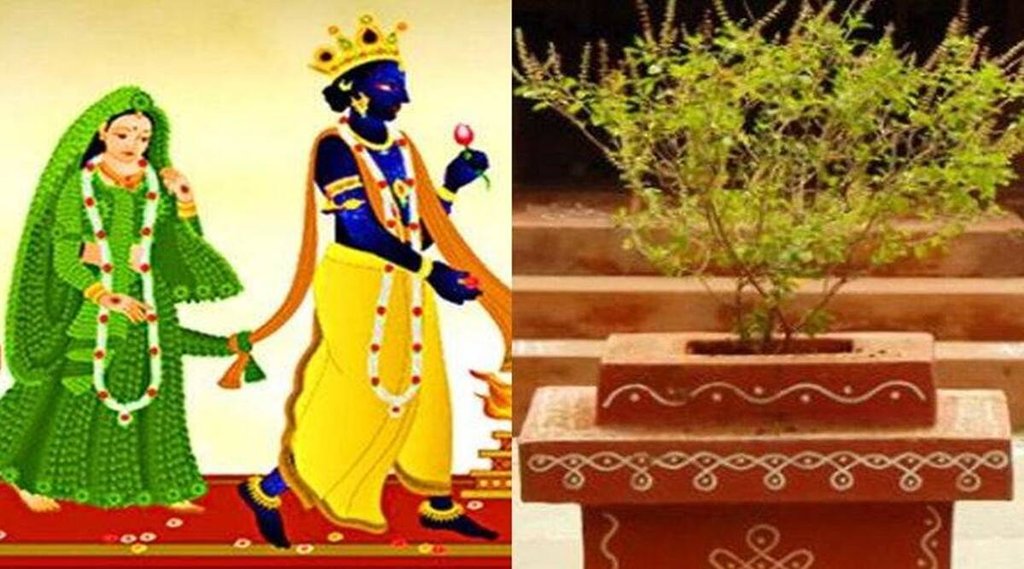tulsi vivah puja vidhi, tulsi vivah puja muhurat, tulsi vivah puja time