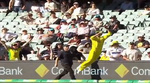 Ashton Agar Saves Dawid Malan six |Ashton Agar | Dawid Malan