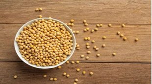 Benefits of Soybean, सोयाबीन के फायदे, हार्ट मरीजों के लिए फायदेमंद है सोयाबीन