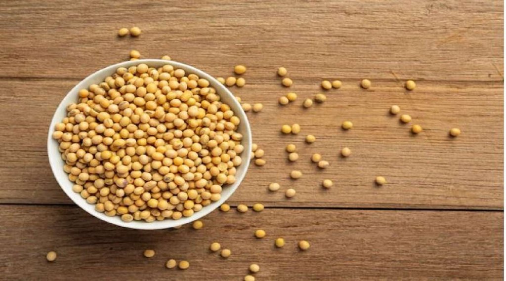 Benefits of Soybean, सोयाबीन के फायदे, हार्ट मरीजों के लिए फायदेमंद है सोयाबीन