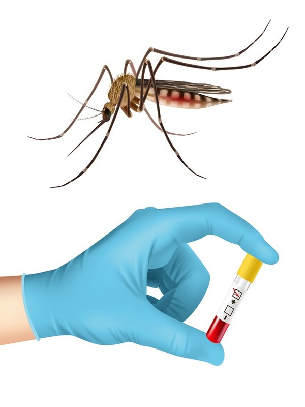 Mosquito and blood test