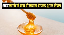 Blood Sugar Control Tips: क्या दो चम्मच शहद ब्लड शुगर को काबू में रखता है? एक्सपर्ट से जानिए