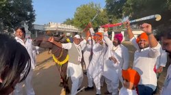 Digvijay singh: भैंसे के साथ डांस करते दिखे दिग्विजय सिंह, बीजेपी के मंत्री ने ली ऐसे चुटकी