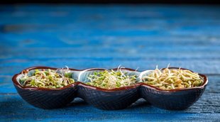 Fenugreek Sprouts Benefits: