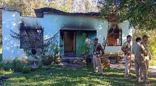 fire in forest office