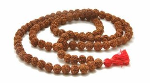 Rudraksha Mala, Panchmukhi Rudraksha, Astrology, Locket, Lord Shiva,