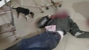 Dog Walks in UP hospital, Patient Bloodied Lies On Floor, UP NEWS