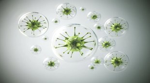 Sepsis: डायबिटीज मरीजों को हो सकता है सेप्टीसीमिया का ज्यादा खतरा, ये 5 लक्षण दिखें तो फौरन हो जाएं सतर्क Diabetes patients may be at higher risk of septicemia, know its early sign and symptoms Diabetes patients may be at higher risk of septicemia,septicemia risk,health issues,Health news,health tips health news,