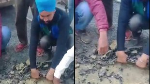 Viral News| Trending Viral News| Today Viral Video| UP viral News|