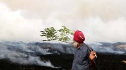 Stubble Burning: इस साल हर‍ियाणा से ढाई गुना ज्‍यादा पंजाब में जलाई गईं पराली, जान‍िए द‍िल्‍ली में प्रदूषण का हाल