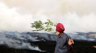 Punjab | Haryana | Stubble Burning