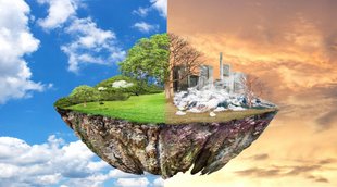 environment