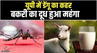 dengue cases in up,dengue,cm yogi dengue,dengue cases in delhi,dengue cases in india,dengue cases in lucknow,dengue fever,delhi dengue cases,rise in dengue cases,dengue fever cases,डेंगू,डेंगू यूपी,डेंगू लखनऊ,डेंगू दिल्ली,dengue virus,dengue cases rise in delhi