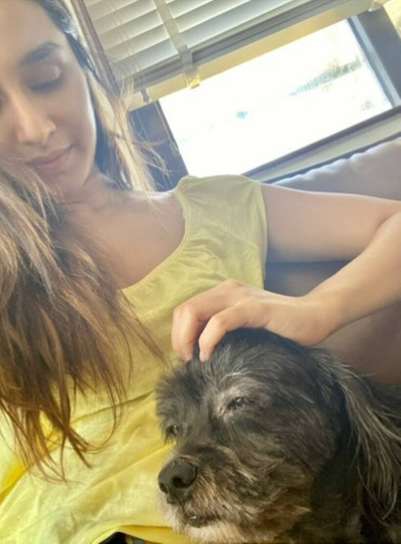 श्रद्धा कपूर अपने पेट शाइलो के काफी करीब हैं। (Photo: Shraddha Kapoor Instagram)