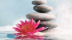 सब धन धूरि समान