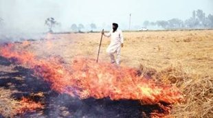 pollution